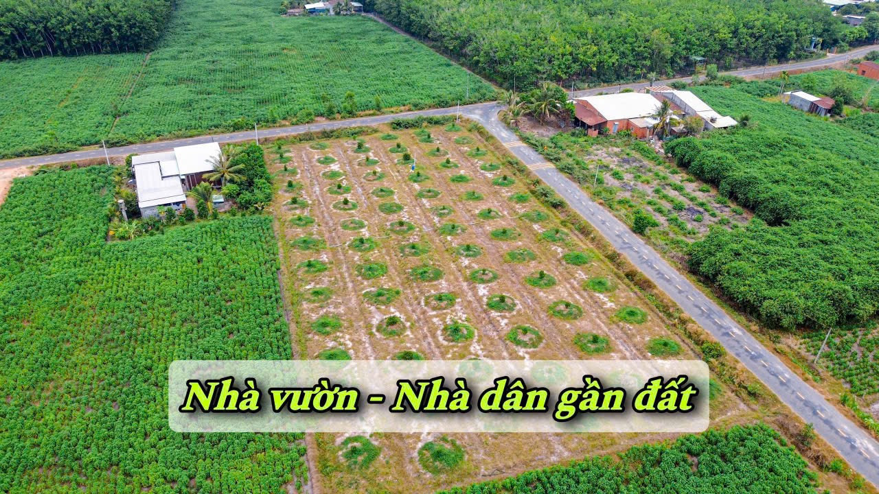 470#Bán đất 150m² 269 triệu tại Xã Phước Minh Huyện Dương Minh Châu