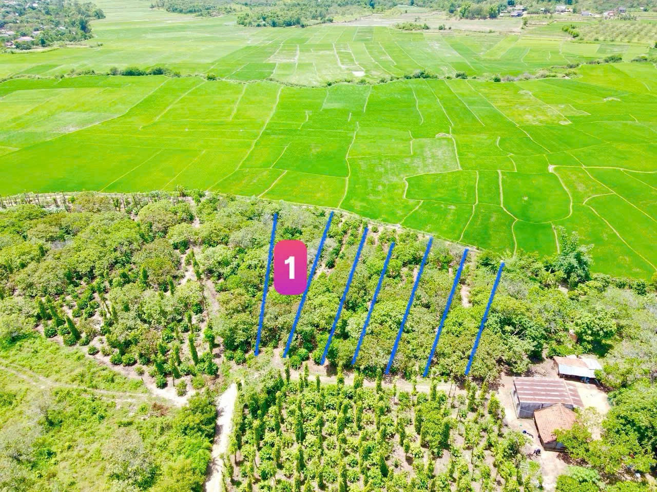 474#Bán đất 1014m² 379 triệu tại Xã Cư Ê Wi Huyện Cư Kuin