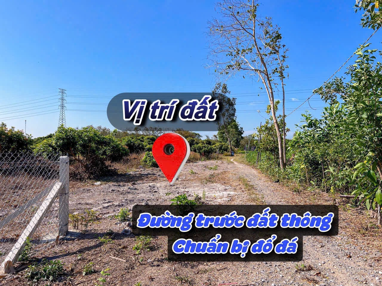 484# Bán đất 200m² 339 triệu tại Xã Cầu Khởi Huyện Dương Minh Châu