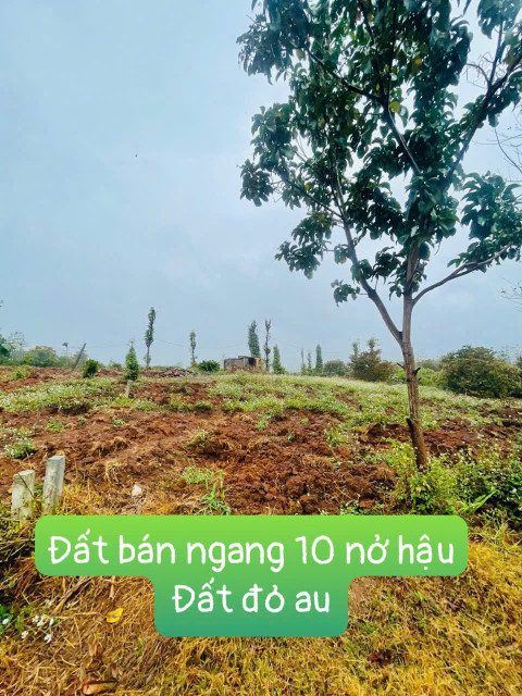 Bán đất 500m² 199 triệu tại Xã Ea Ning Huyện Cư Kuin