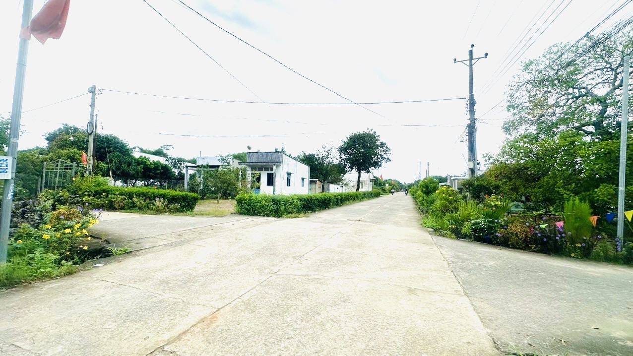 Bán đất thổ cư mt Đường nhựa. Xã phú Điền. 6 x 23