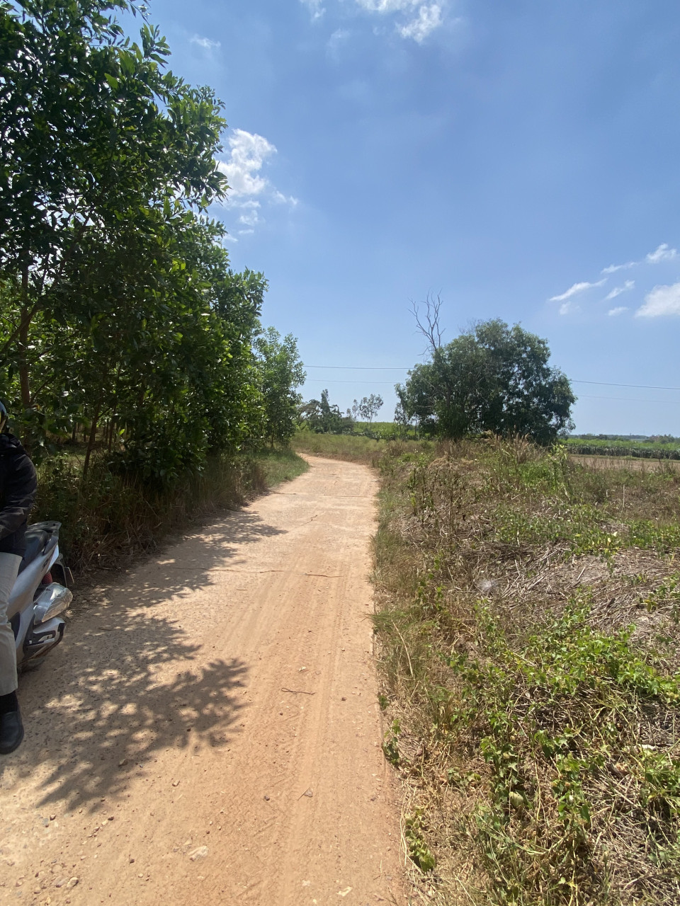 Bán 8 sào đất view Hồ Núi Đất Tân Tiến, Thị xã LaGi giá rẻ 430tr/ sào
