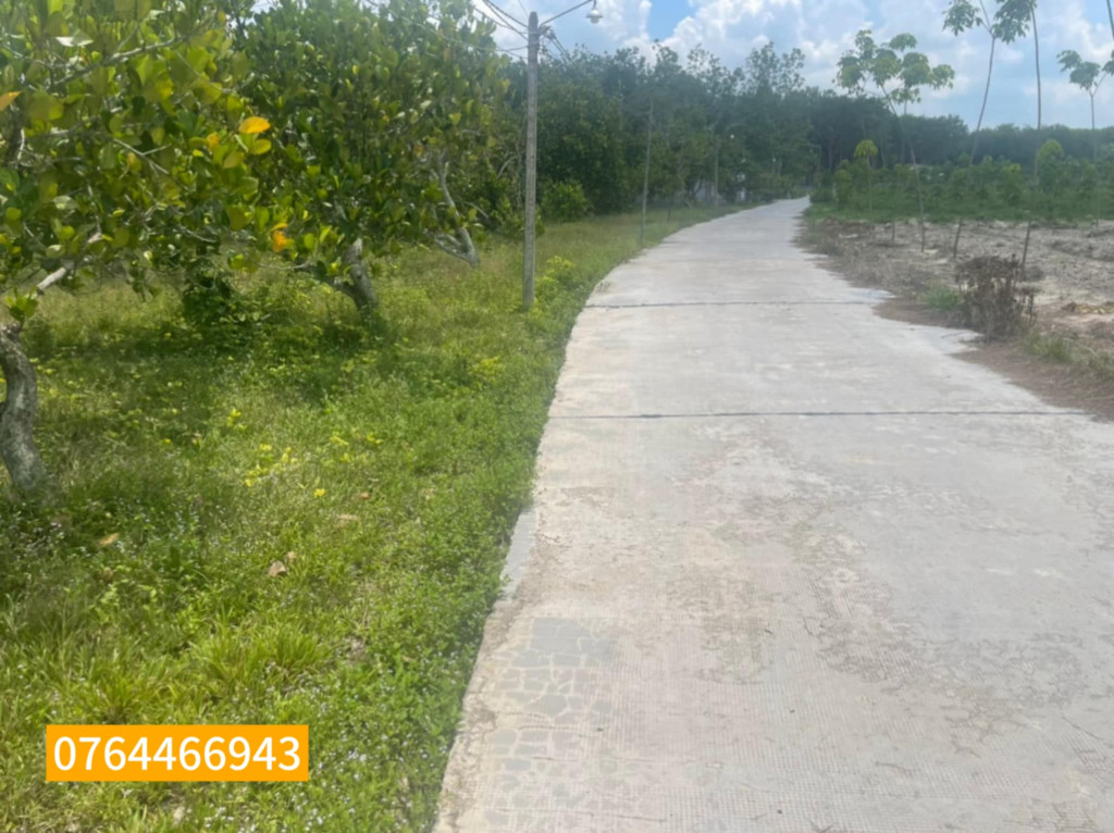 Cần bán gấp vườn mít đất đô thị H. Bàu Bàng, Bình Dương, 1100m2