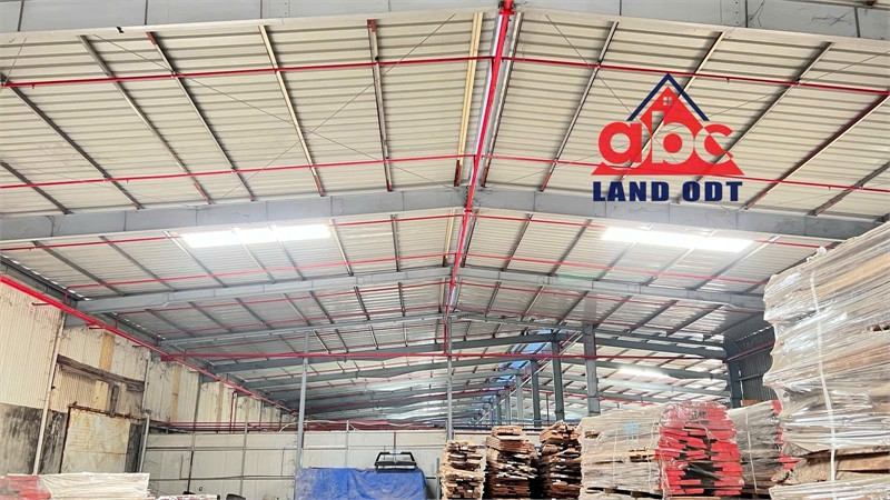 XT308 nhà xưởng kiên cố thu hút sản xuất nhiều ngành nghề công nghiệp, CNN