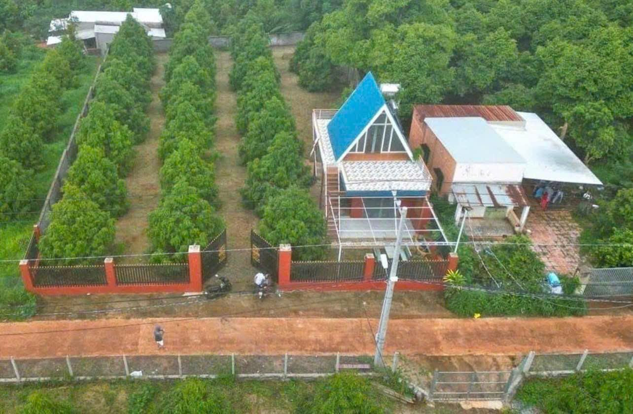 BÁN GẤP ĐẤT Ở THỔ CƯ 3032M2 - TÂN PHƯỚC KHÁNH, TÂN UYÊN, BÌNH DƯƠNG - GIÁ 550 TRIỆU - SỔ HỒNG CHÍNH CHỦ