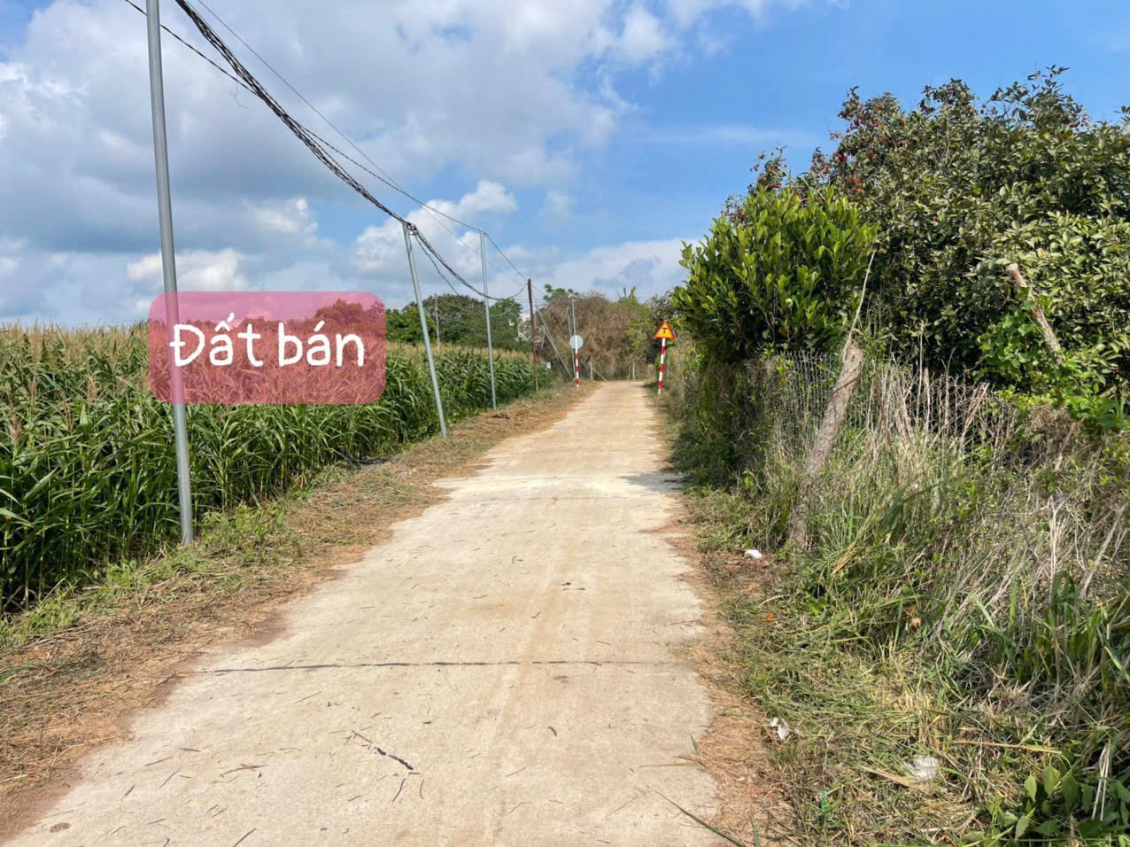 Bán đất 135m² 550 triệu tại Xã Xuân Tây Huyện Cẩm Mỹ