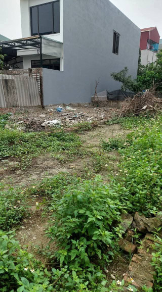 Rẻ và đẹp như này không mua thì mua ở đâu đất vạn 3 124m giá cho ae đầu tư khu vực đân cư than thiện tiện ích xung quanh đầy đủ oto vao dat 20m