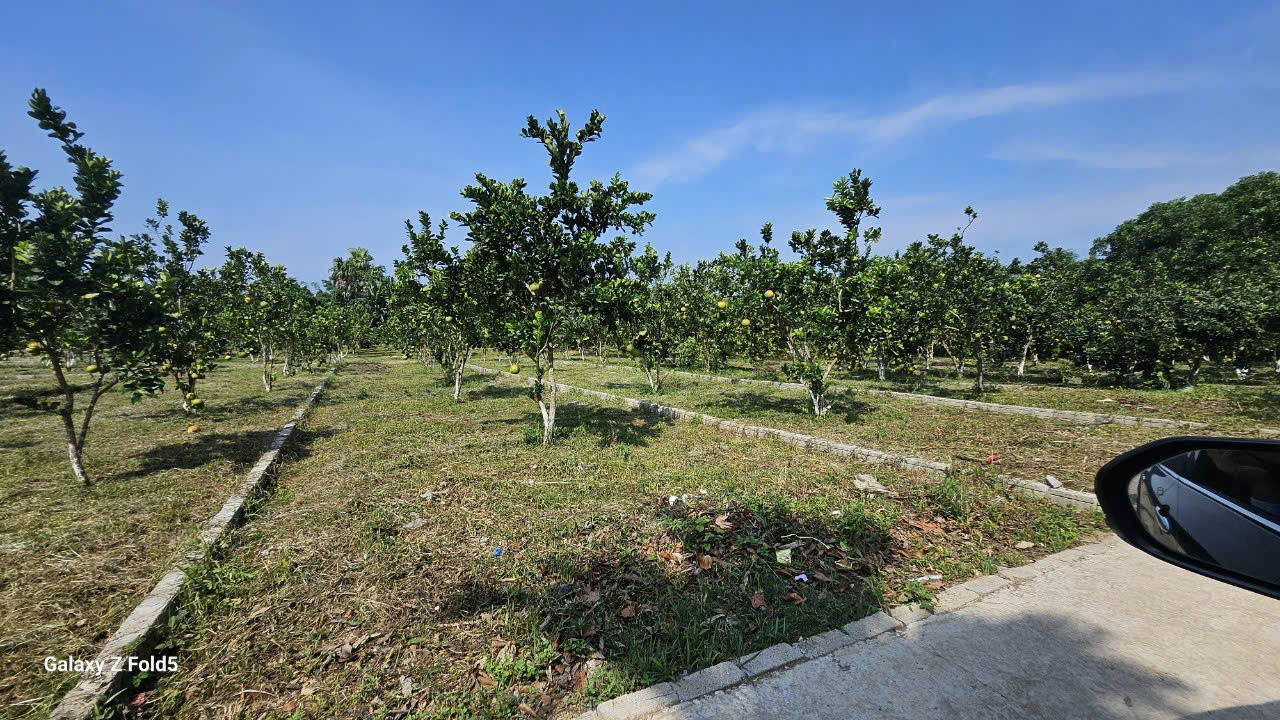 Cơ Hội đầu tư giá chỉ 2xx có 180m tại Bảo Hiệu, Yên Thủy, Hòa Bình
