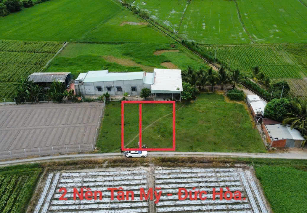 Kẹt tiền cắt lỗ 2 nền đất liền kề 
+ Diện tích :  5,5m x 23m= 128m2 full thổ cư 100%.