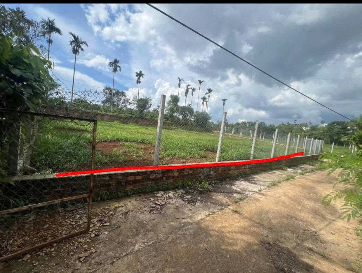 Bán đất 909.8m² 1.3 tỷ tại Phường Tự An Thành phố Buôn Ma Thuột