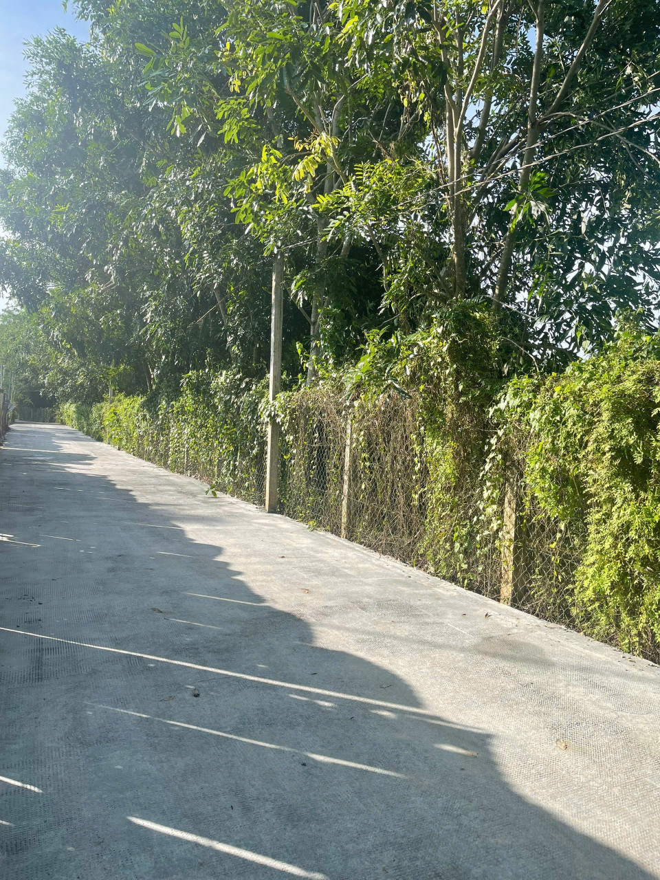 Bán đất An Tây Bến Cát 5x38 giá 1ty100