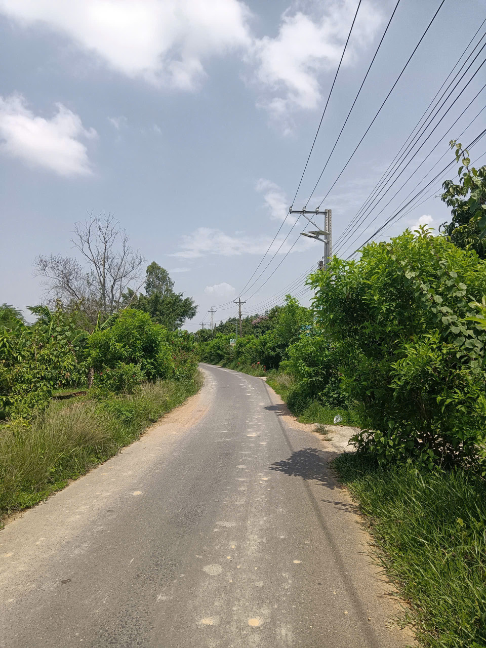 Bán Lô Đất Tại Phú Lý, Huyện Vĩnh Cửu, Đồng Nai.