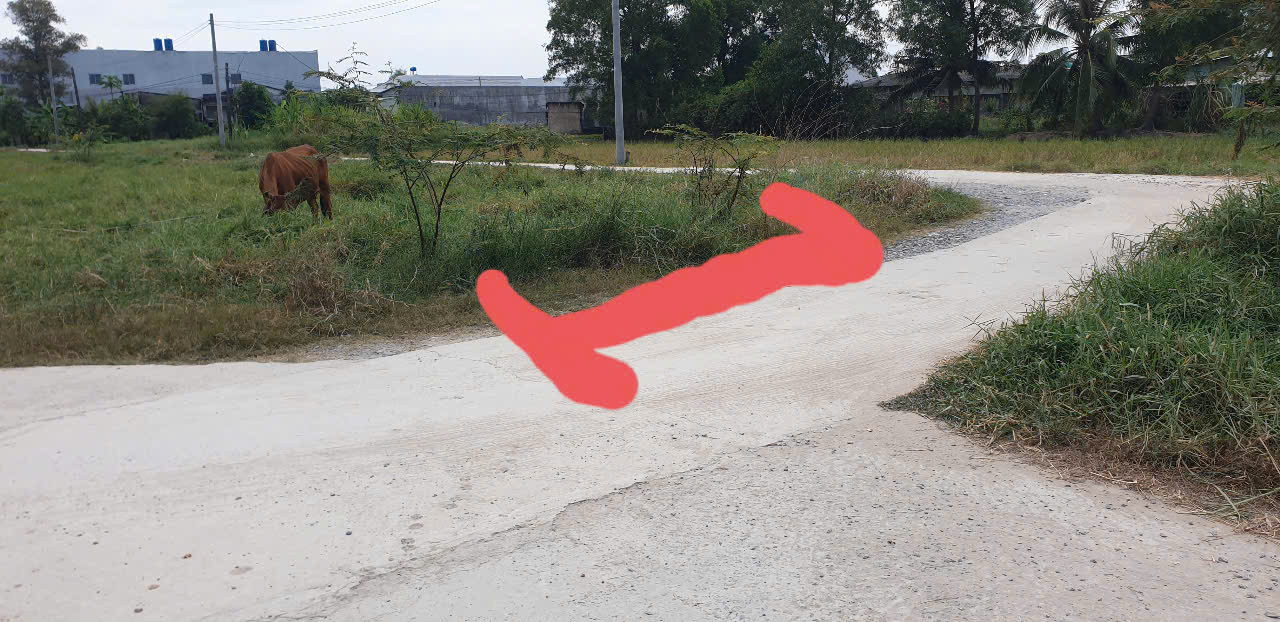 Chính chủ bán đất 100m2 giá 1, 7 tỷ, ĐT 833B, Long Cang, Cần Đước, Long An