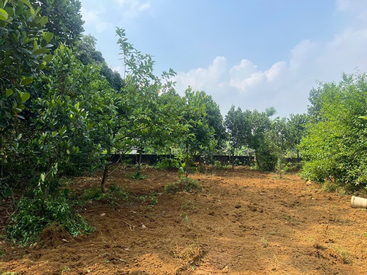 ĐẤT ĐẸP - GIÁ TỐT - Cần Bán Nhanh Lô Đất Vị Trí Đắc Địa Tại Thủy Xuân Tiên,huyện Chương Mỹ
