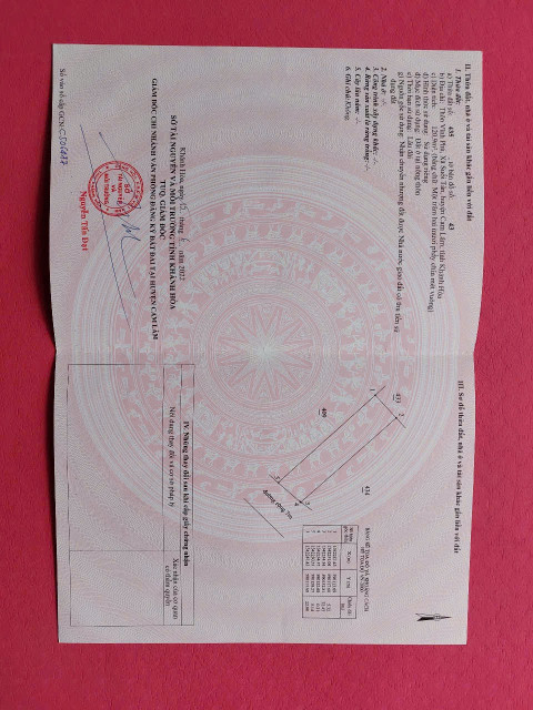 Siêu phẩm Suối Tân