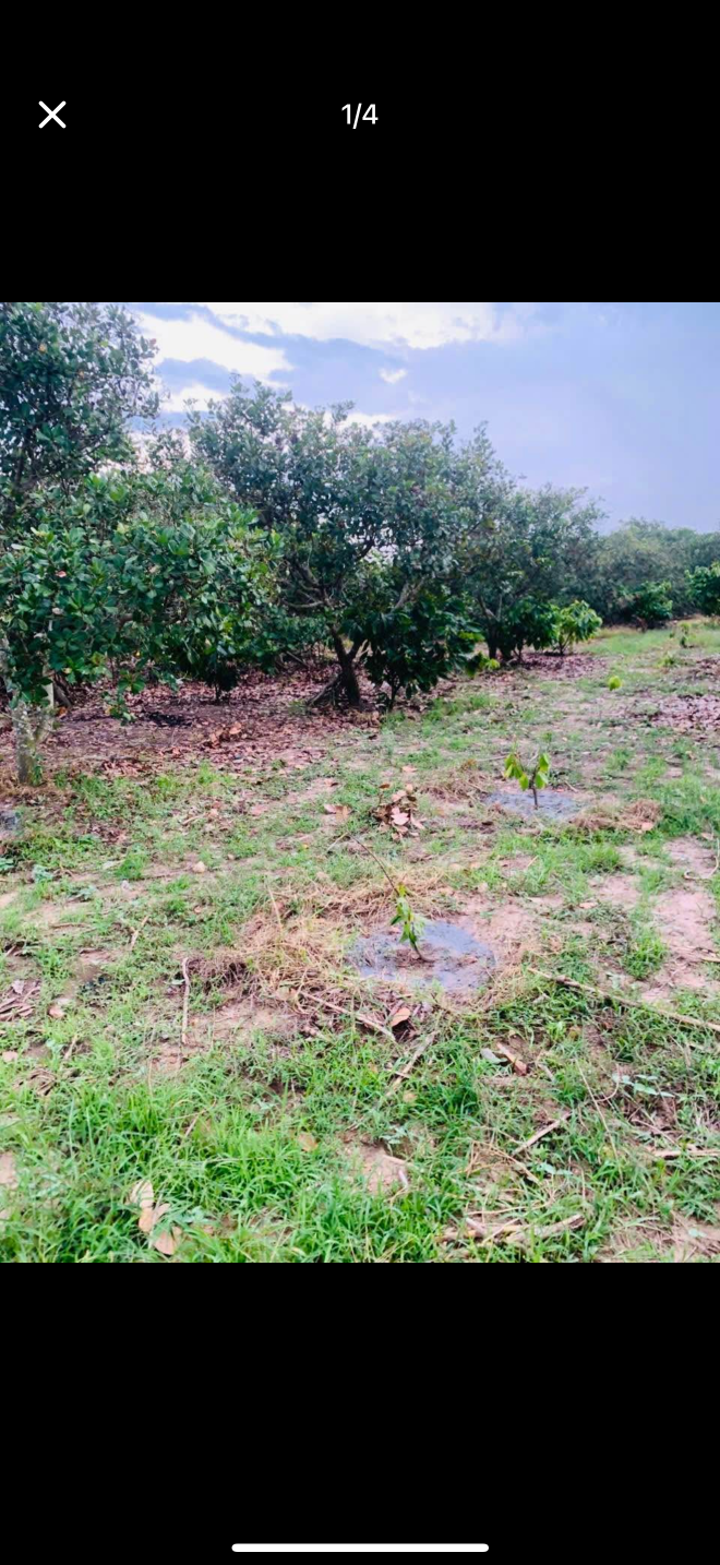 Bán đất 2800m² giá 680 triệu tại Xã Cư Ni Huyện Ea Kar