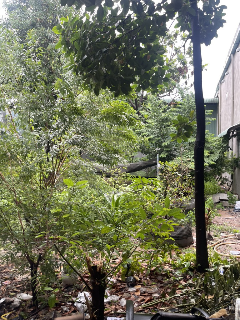 ĐẤT THỔ CƯ 870m2 - 26.5 TỶ - Trần Thị Hè, Hiệp Thành, Q12 - Cơ Hội Đầu Tư Vàng!
