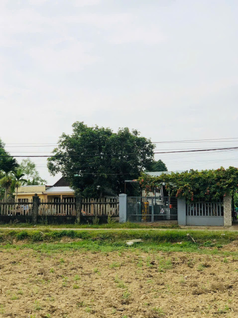 Chính Chủ Cần bán Lô Đất tại thôn Ninh An, xã Hoà Nhơn, huyện Hoà Vang, Đà Nẵng