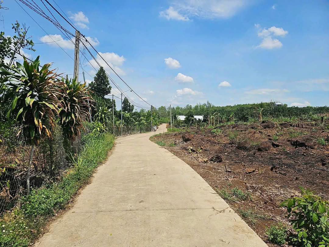 Bân đất vườn Phú Hoà, Định Quán, Giá rẻ