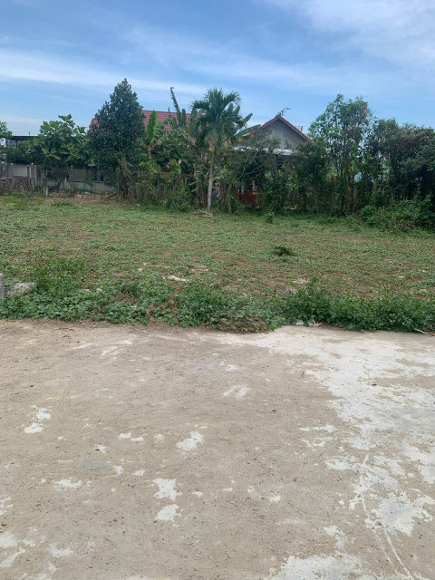 DL29 Bán lô đất đường 5m thôn Thanh Minh xã Diên Lạc
