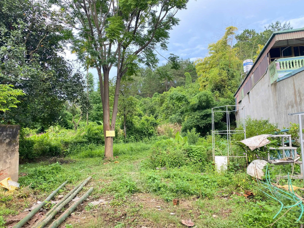 Bán đất tại tổ 19 phường Him Lam
