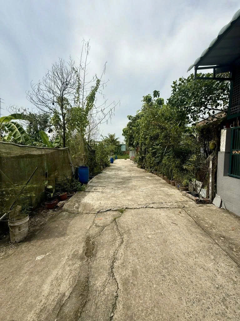 BÁN 3 LÔ ĐẤT NỀN XUÂN THỚI SƠN – GẦN VÀNH ĐAI 3, KẾ BÊN VINHOMES HÓC MÔN 🌟