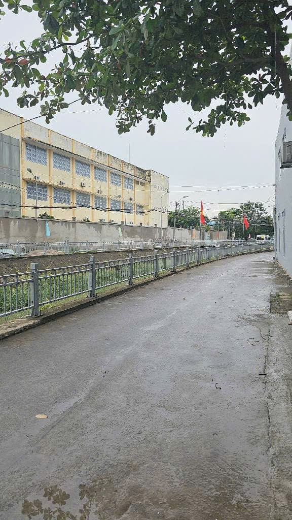 Căn Hộ Dịch Vụ 442m², 4 Tầng, Đường Nhựa 16m, 11x40m2, Thang máy, giá 29.5 tỷ, An Phú Đông 9, Q.12