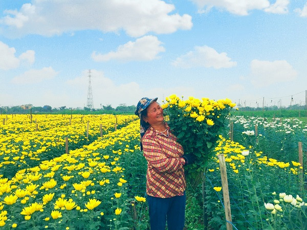 Huyện Mỹ Lộc đạt doanh thu gần 2 tỷ đồng từ trồng hoa theo mô hình sản xuất liên kết xanh sạch