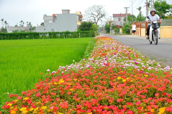 Huyện Mỹ Lộc tỉnh Nam Định đã được Thủ tướng công nhận đạt chuẩn nông thôn mới