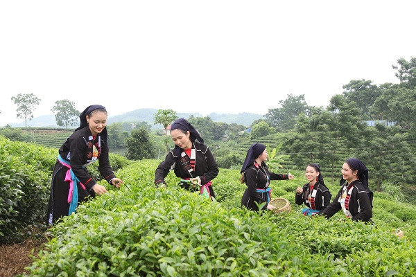 Huyện Phú Lương quy hoạch đất đai hiệu quả để tập trung cho lĩnh vực sản xuất nông nghiệp và du lịch