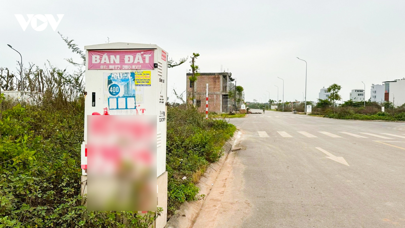 Dự án 